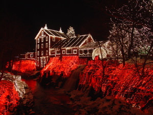 origins of the christmas tree ElsW